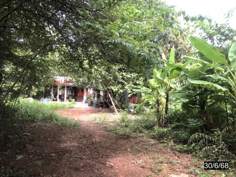 รูป บ้านเดี่ยว สำหรับขาย - หนองสังข์ แก้งคร้อ ชัยภูมิ - รูปที่ 17/20