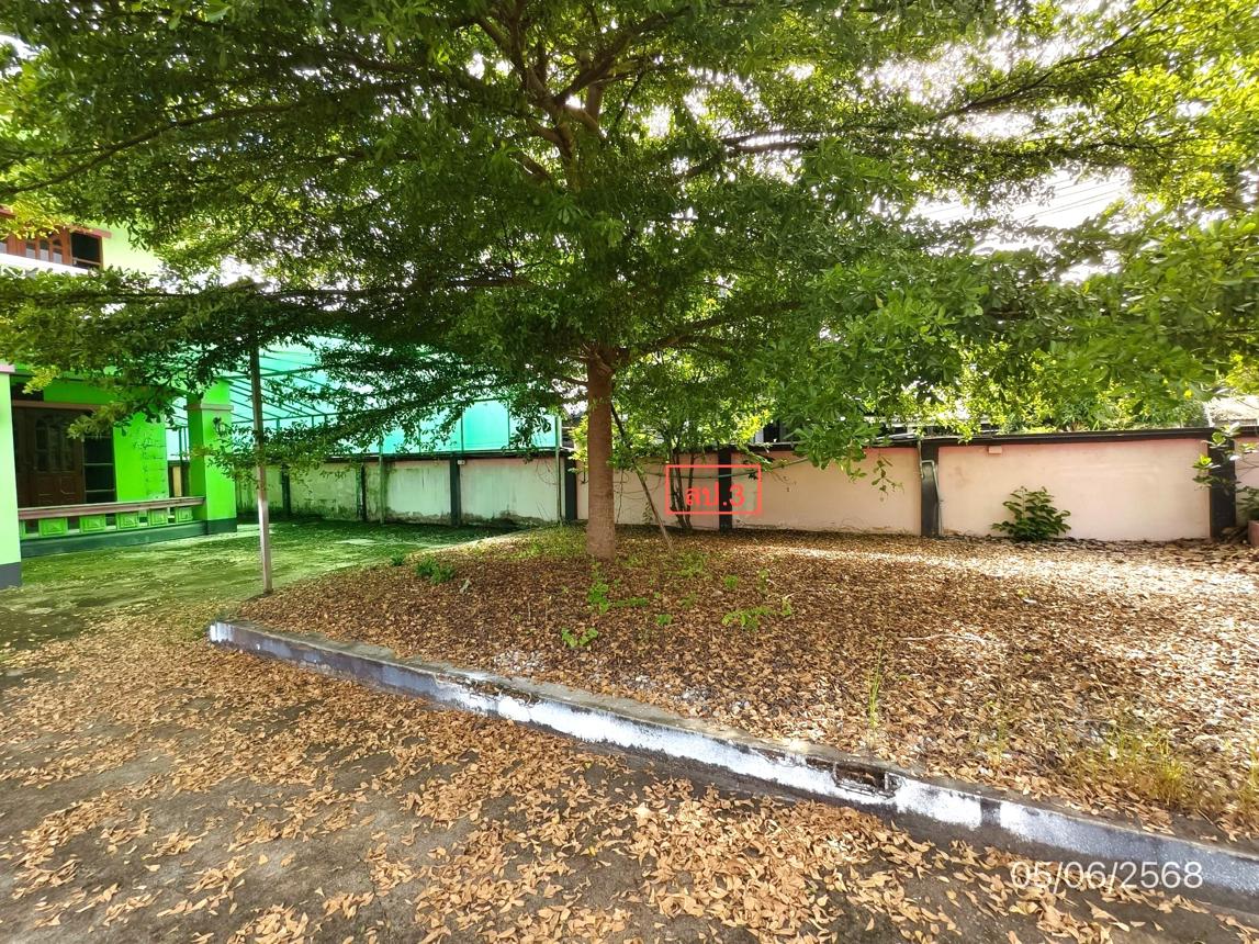 picture HOME for sale  Nong Han San Sai Chiang Mai - 40/44