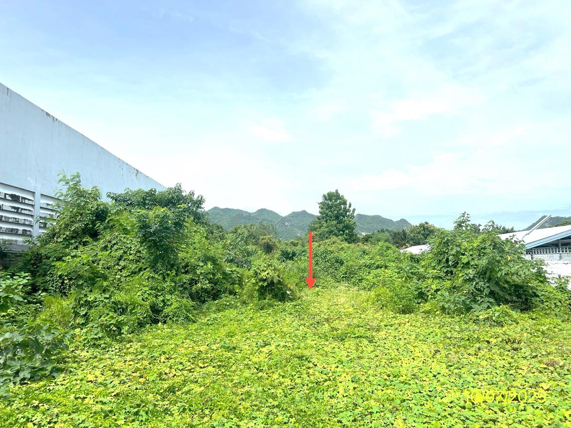 รูป ที่ดินว่างเปล่า สำหรับขาย - ท่าล้อ ท่าม่วง กาญจนบุรี - รูปที่ 6/14