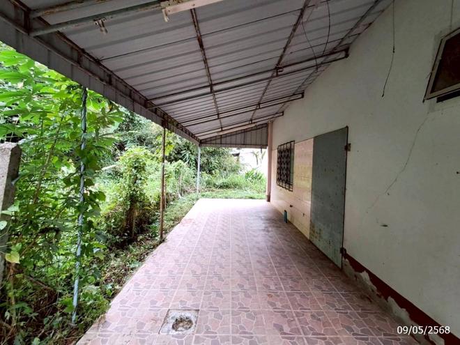 รูป บ้านเดี่ยว สำหรับขาย - วังมะปรางเหนือ วังวิเศษ ตรัง - รูปที่ 10/30