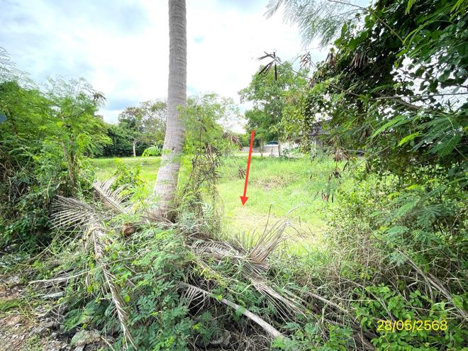 picture HOME for sale  Don Sai Photharam Ratchburi - 3/14