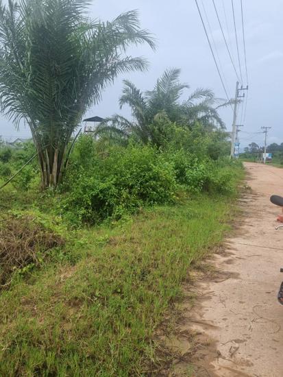 picture LAND for sale  Nong Yat Muang Nakhon Phanom Nakhon Phanom - 1/12