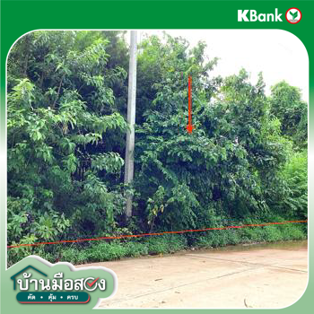picture LAND for sale  Kham Khok Sung Wang Sam Mo Udon Thani - 16/18