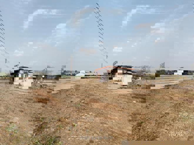 รูป อาคารโรงงาน สำหรับขาย - ท่าข้าม ชนแดน เพชรบูรณ์ - รูปที่ 10/46