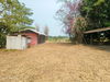 listing thumbnail image 31