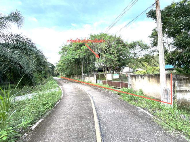 picture HOME for sale  Khunthale Muang Surat Thani Surat Thani - 19/44