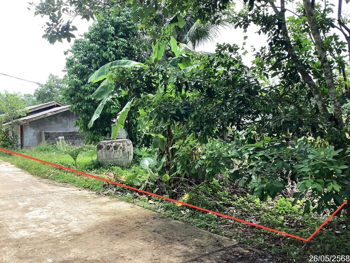 รูป บ้านเดี่ยว สำหรับขาย - ท่าแพ ท่าแพ สตูล - รูปที่ 9/16
