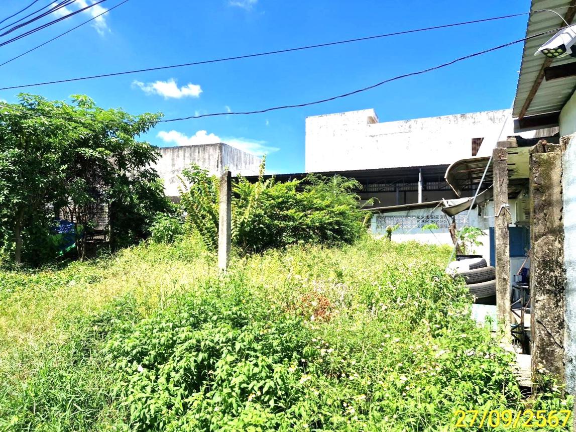 picture LAND for sale  Pho Sadet Muang Nakhon Sri Thammarat Nakhon Sri Thammarat - 11/18
