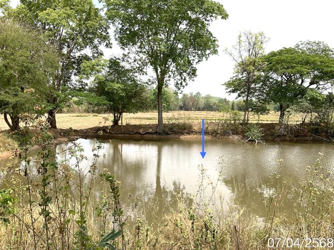 picture LAND for sale  Dong Chen Phu Kam Yao Phayao - 9/24