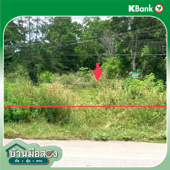 รูป ที่ดินว่างเปล่า สำหรับขาย - ครน สวี ชุมพร - รูปที่ 16/18