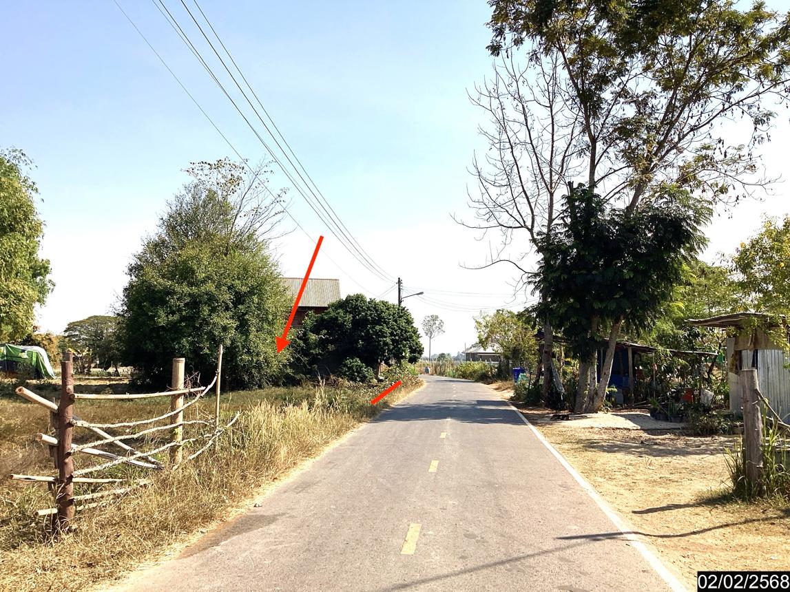 picture LAND for sale  Song Dao Song Dao Sakon Nakhon - 13/18