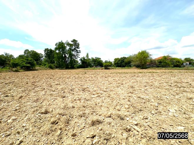 picture LAND for sale  Rop Muang Muang Roi Et Roi Et - 7/20