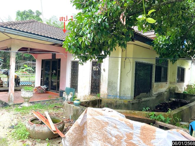 picture HOME for sale  Thon Hong Phrommakhiri Nakhon Sri Thammarat - 2/40