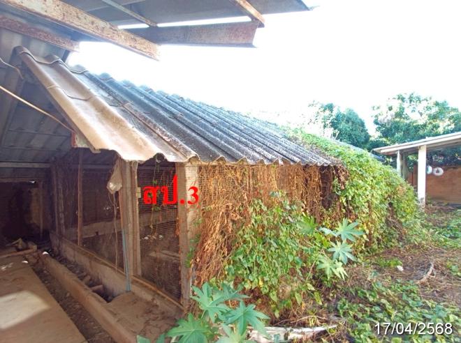 picture HOME for sale  Mae Thalop Chai Prakarn Chiang Mai - 8/28
