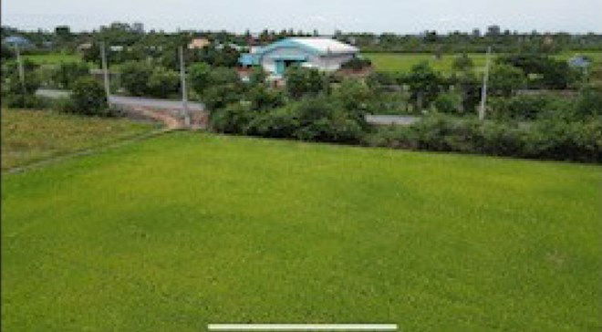 picture LAND for sale  Pho Phraya Muang Suphanburi Suphanburi - 3/14