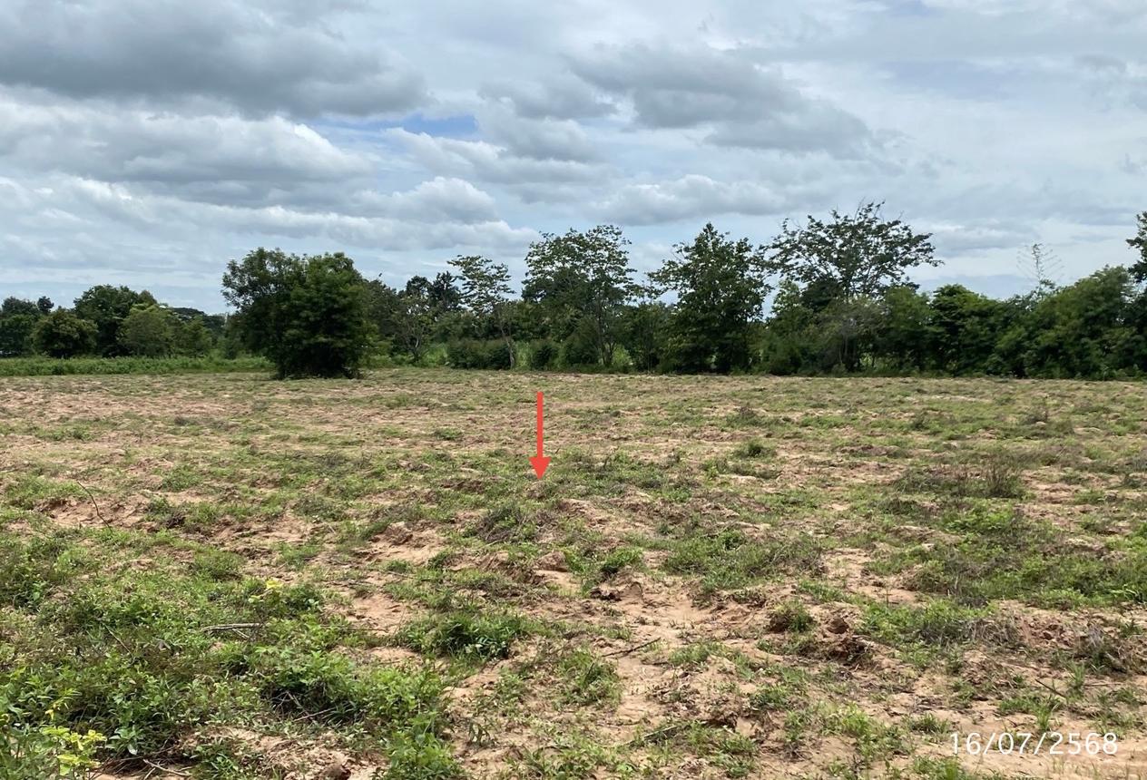 picture LAND for sale  Kham Yai Huai Mek Kalasin - 18/24