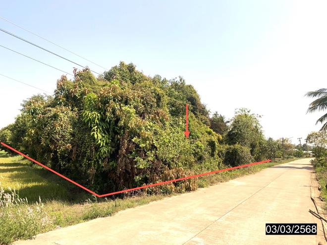 รูป บ้านเดี่ยว สำหรับขาย เขาปรัง ดงประคำ พรหมพิราม พิษณุโลก - รูปที่ 10/24