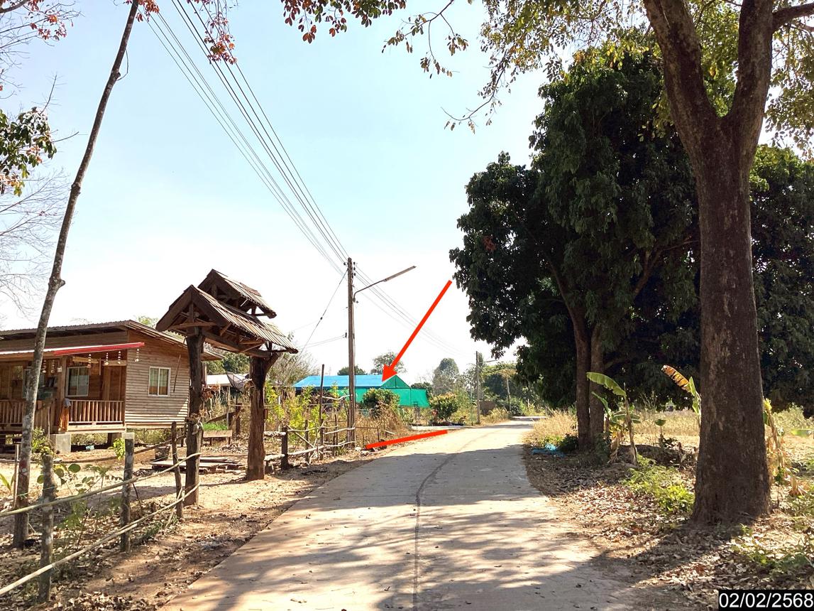 picture LAND for sale  Song Dao Song Dao Sakon Nakhon - 13/18