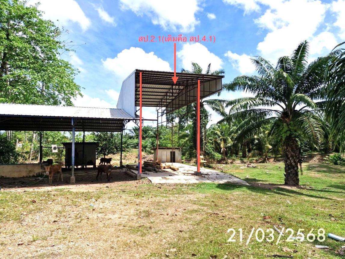 รูป บ้านเดี่ยว สำหรับขาย - เขาไม้แก้ว สิเกา ตรัง - รูปที่ 27/36