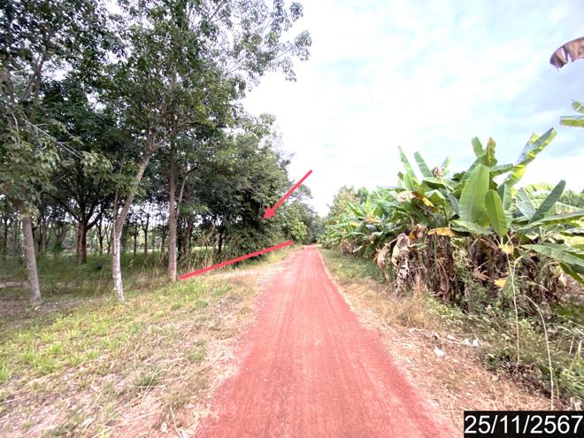 รูป ที่ดินว่างเปล่า สำหรับขาย - ขอนยูง กุดจับ อุดรธานี - รูปที่ 8/24