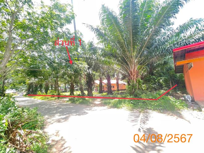 รูป บ้านเดี่ยว สำหรับขาย - คลองพน คลองท่อม กระบี่ - รูปที่ 3/24