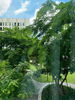 listing thumbnail image 15