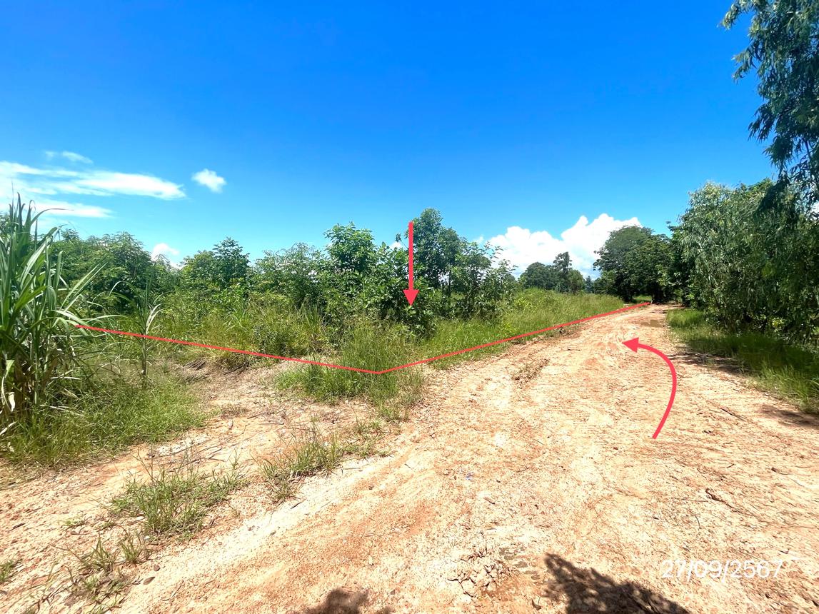 รูป บ้านเดี่ยว สำหรับขาย - ดงประคำ พรหมพิราม พิษณุโลก - รูปที่ 20/24