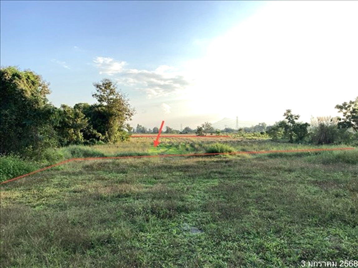 picture LAND for sale  Sri Thoi Mae Chai Phayao - 4/10
