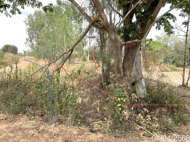 picture LAND for sale  Dong Chen Phu Kam Yao Phayao - 3/24