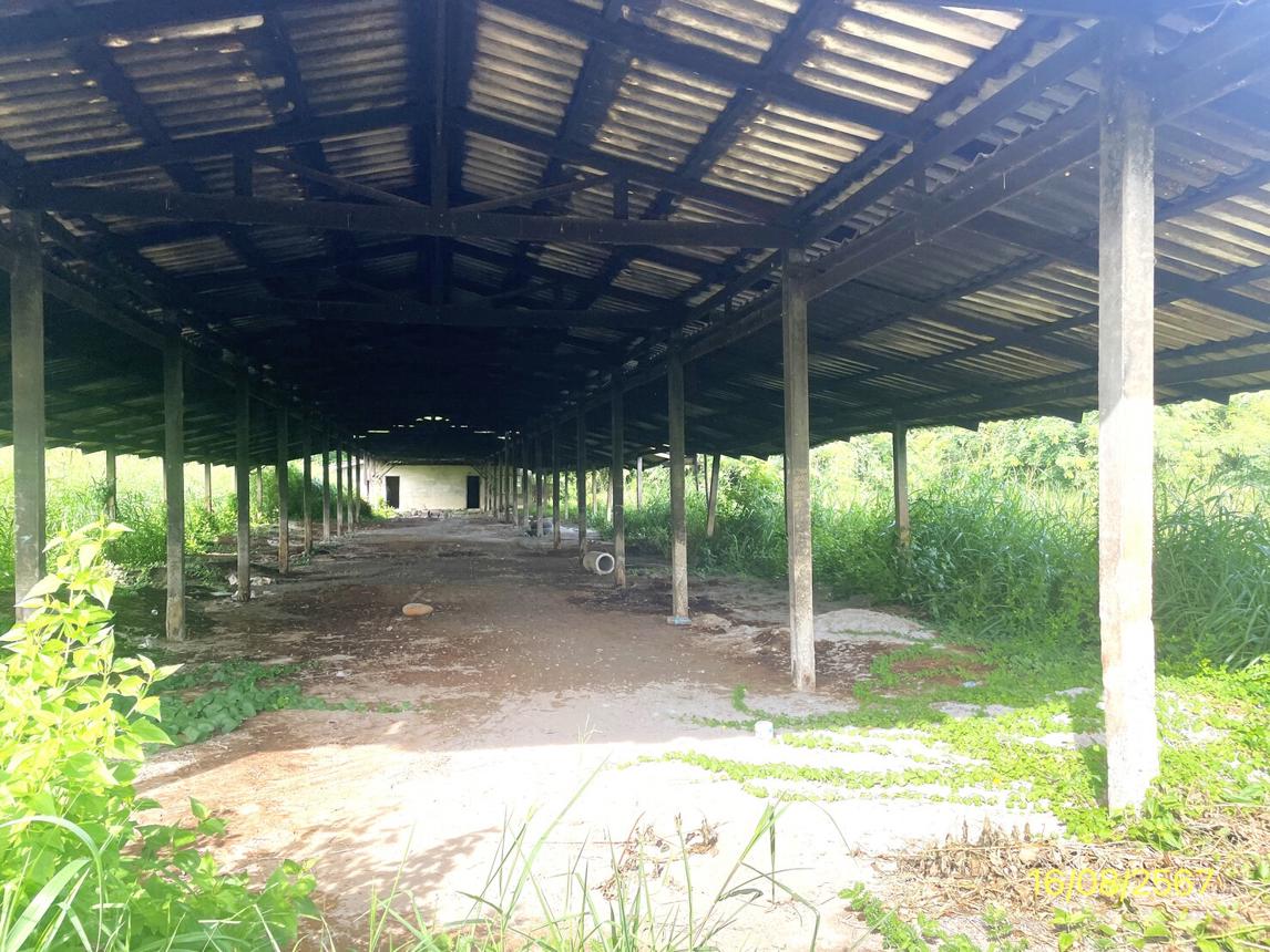 รูป บ้านเดี่ยว สำหรับขาย - มะต้อง พรหมพิราม พิษณุโลก - รูปที่ 32/44