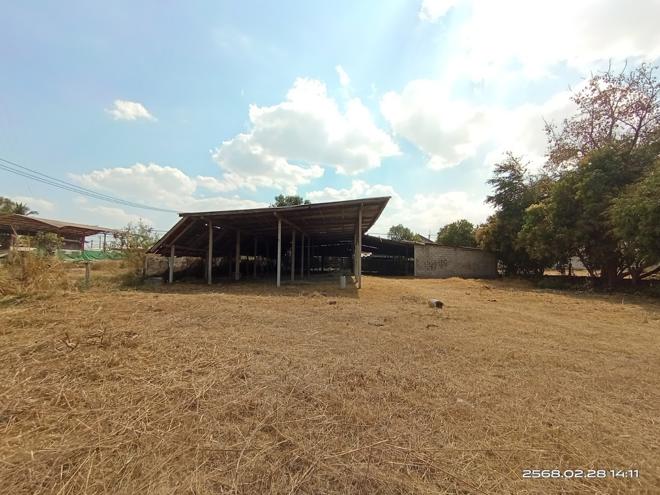 รูป โกดัง สำหรับขาย - ลำหนองแสน หนองกุงศรี กาฬสินธุ์ - รูปที่ 25/56