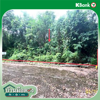รูป ที่ดินว่างเปล่า สำหรับขาย - รังสิต ธัญบุรี ปทุมธานี - รูปที่ 16/18