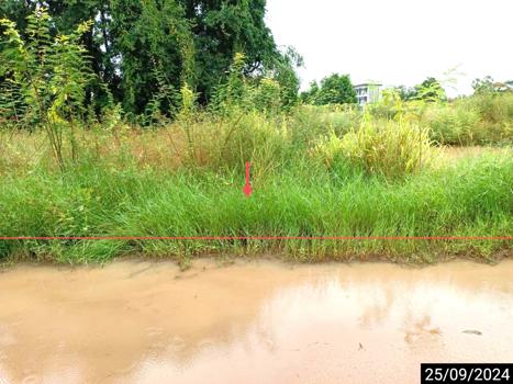 รูป ที่ดินว่างเปล่า สำหรับขาย - เมืองเก่า เมืองขอนแก่น ขอนแก่น - รูปที่ 9/12