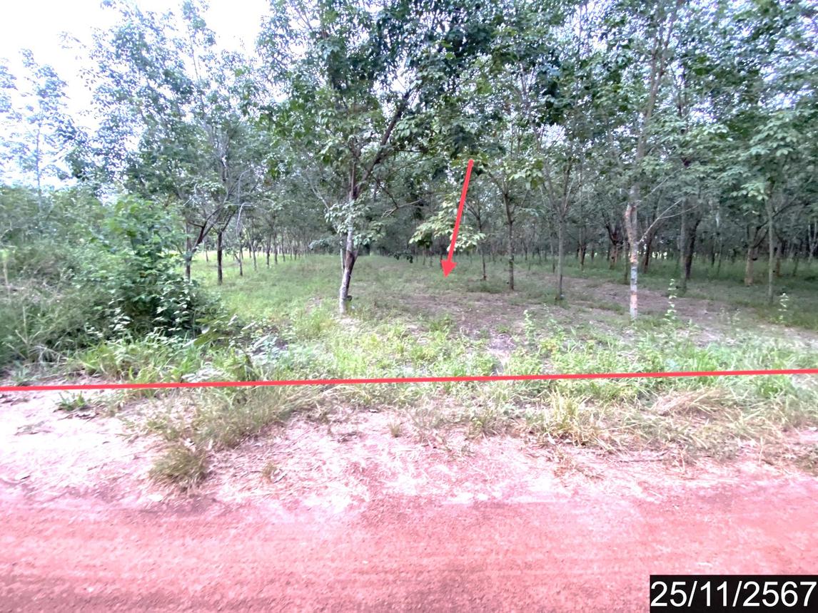 รูป ที่ดินว่างเปล่า สำหรับขาย - ขอนยูง กุดจับ อุดรธานี - รูปที่ 12/24