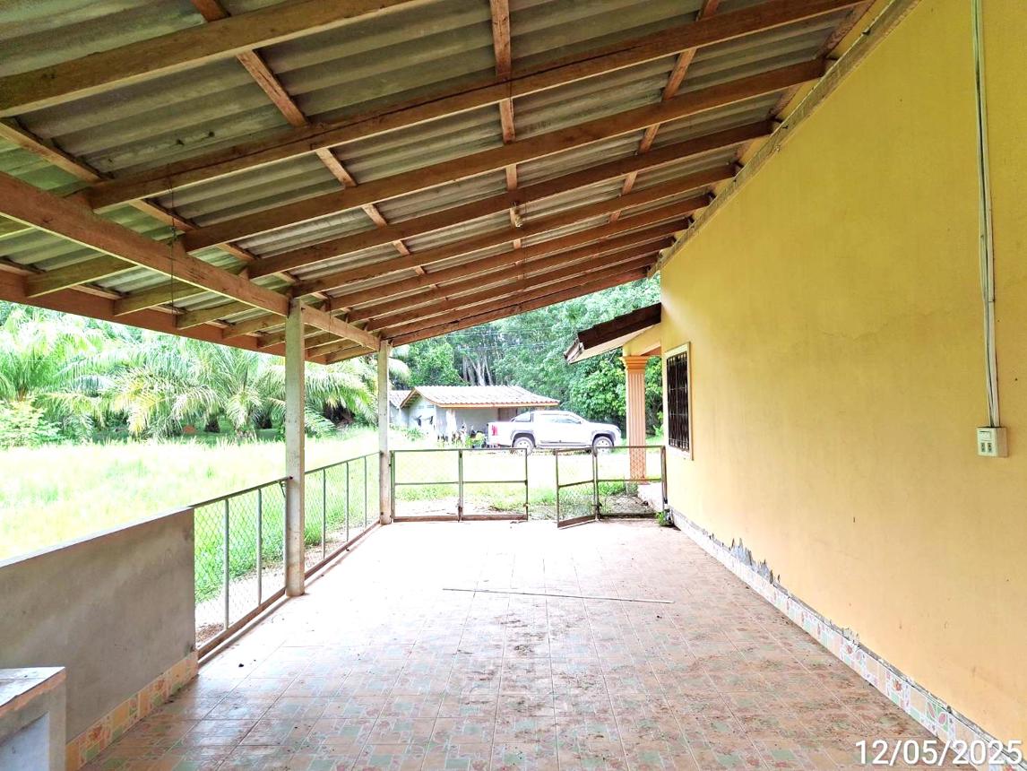 รูป บ้านเดี่ยว สำหรับขาย - เขาวิเศษ วังวิเศษ ตรัง - รูปที่ 40/44