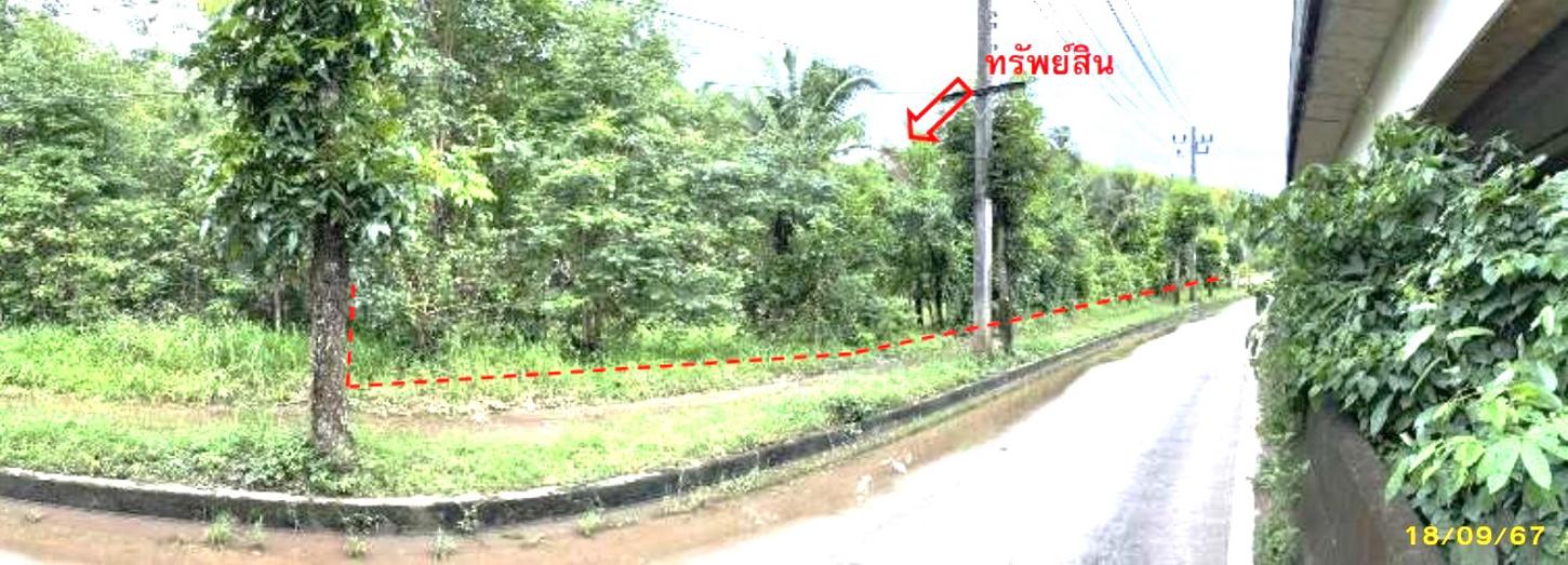 รูป บ้านเดี่ยว สำหรับขาย - บางเป้า กันตัง ตรัง - รูปที่ 20/24