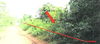 listing thumbnail image 17
