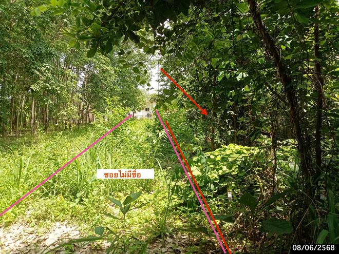 picture LAND for sale  Song Dao Song Dao Sakon Nakhon - 6/24