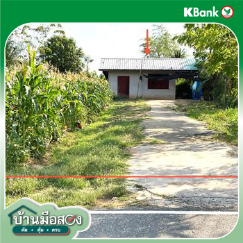 picture HOME for sale  Takhop Pak Thong Chai Nakhon Ratchasima - 14/16