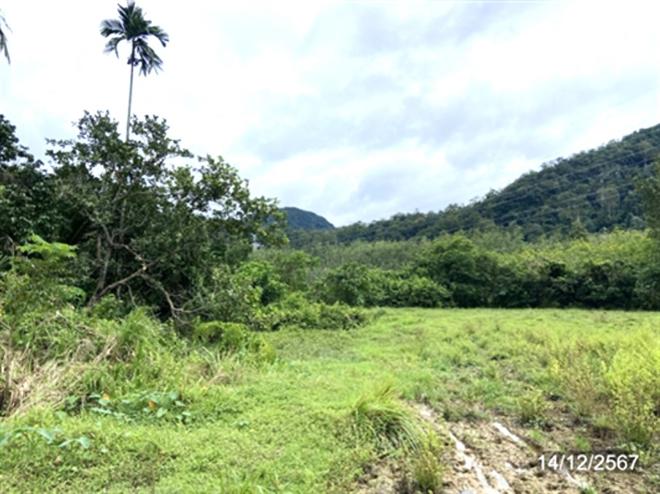picture LAND for sale  Khuan Sato Khuan Don Satun - 6/24
