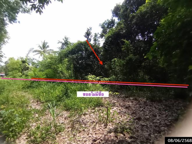 picture LAND for sale  Song Dao Song Dao Sakon Nakhon - 1/24