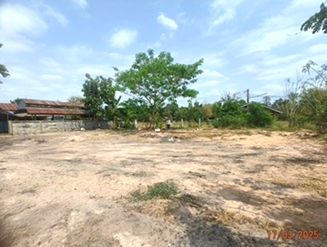 picture LAND for sale  Muang Samsip Muang Samsip Ubon Ratchathani - 17/20