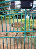 listing thumbnail image 11