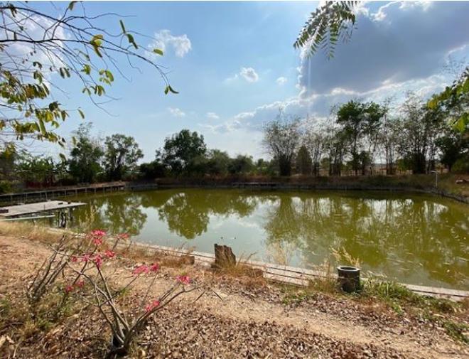 picture HOME for sale  Muang Kae Satuk Buri Ram - 7/18