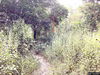 listing thumbnail image 16