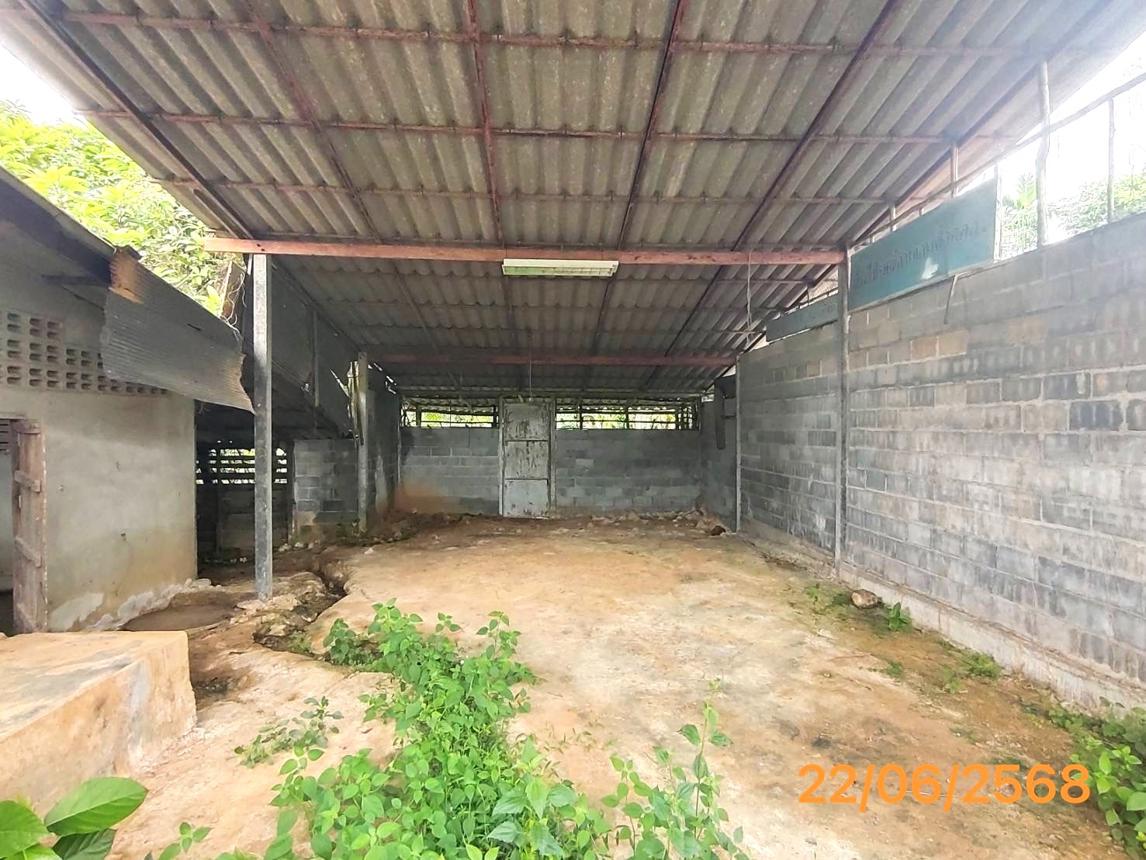 รูป บ้านเดี่ยว สำหรับขาย - เพหลา คลองท่อม กระบี่ - รูปที่ 20/24