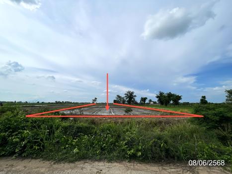 รูป ที่ดินว่างเปล่า สำหรับขาย - โนนพลวง ลานกระบือ กำแพงเพชร - รูปที่ 21/24