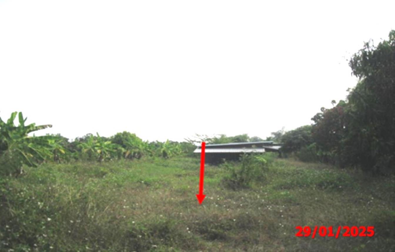 รูป บ้านเดี่ยว สำหรับขาย - ริมปิง เมืองลำพูน ลำพูน - รูปที่ 9/14