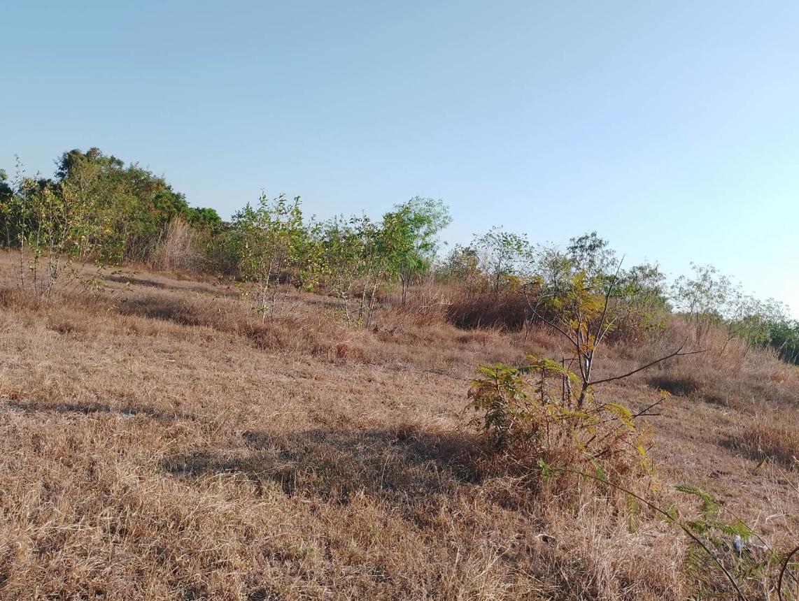picture LAND for sale  Nong Phu Chaturaphak Phiman Roi Et - 11/18