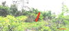listing thumbnail image 22